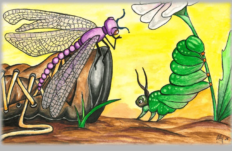 Gus the caterpillar meets Lacey the dragonfly